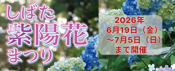 しばた紫陽花まつり